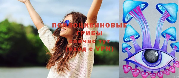эйфоретик Богородицк