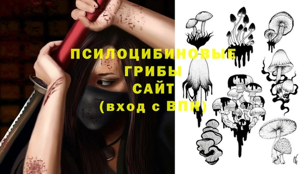 таблы Богородск