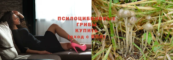 таблы Богородск